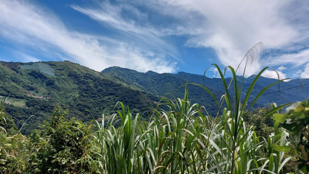 廬山六寶 老么 母安山_1796873