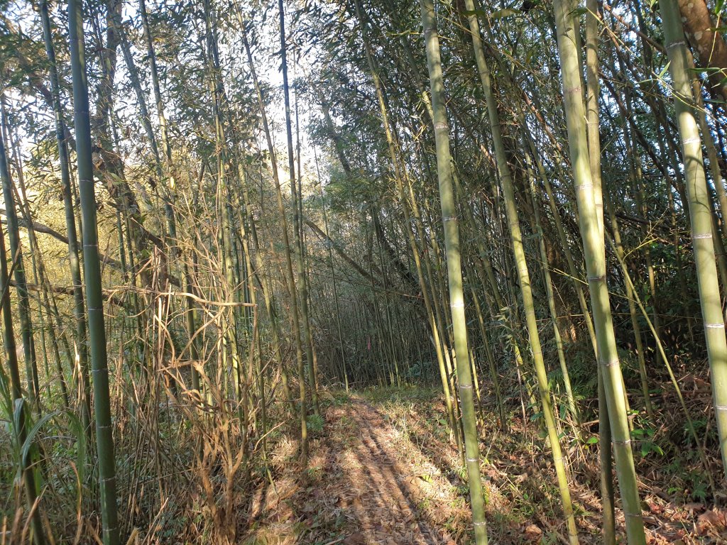 飛沙17連峰封面圖