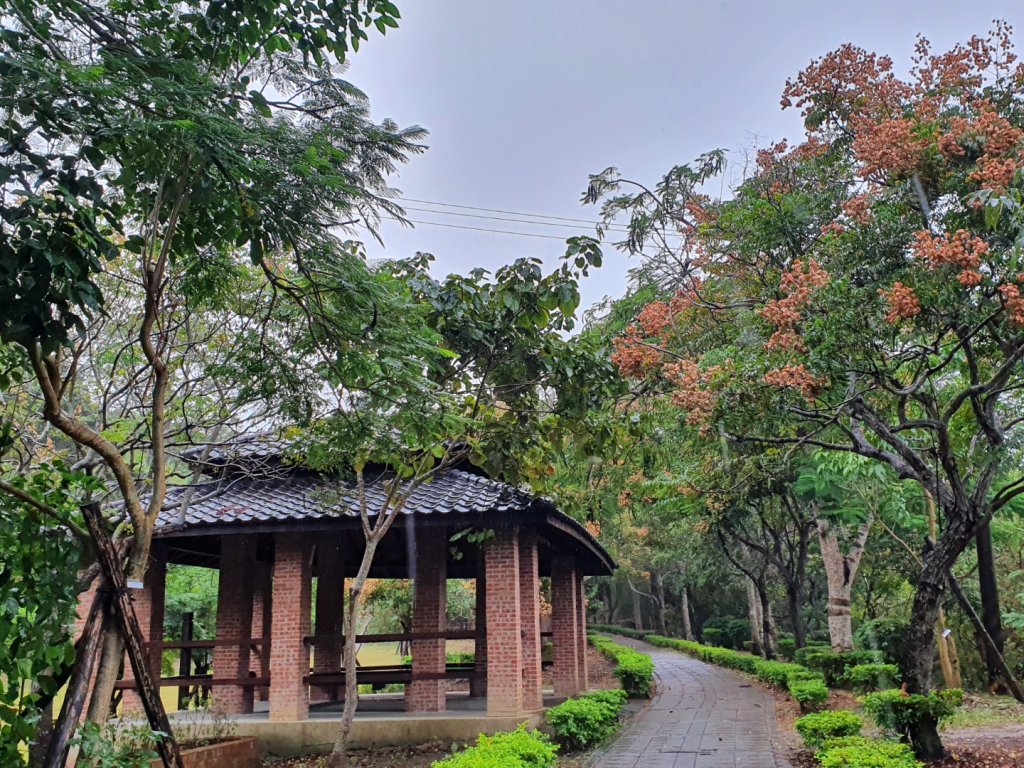 貓貍山公園，功維敘隧道封面圖