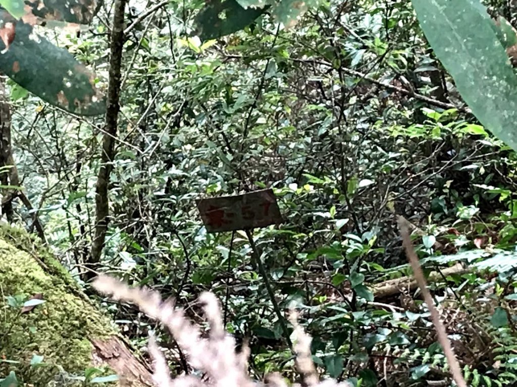 高島縱走（高台山連走島田山）20210508_1968764