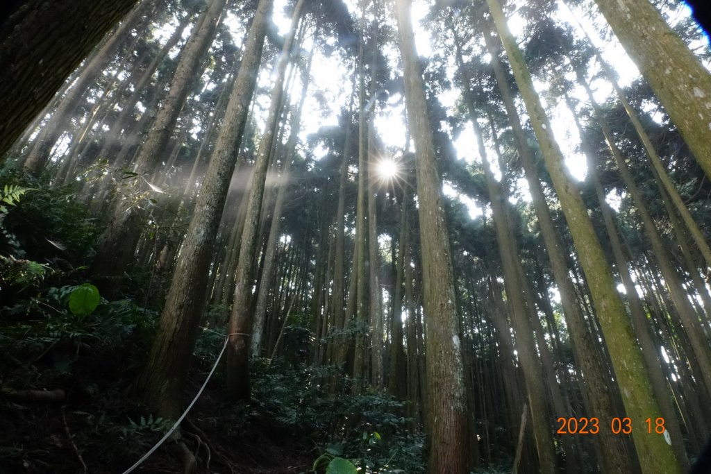 新竹 關西 馬武督山、蓮包山_2076593