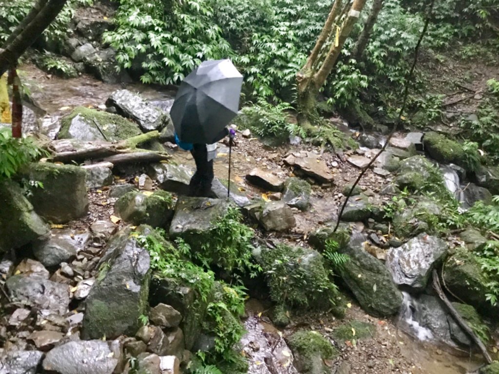 崩山坑古道環走中坑古道_632844
