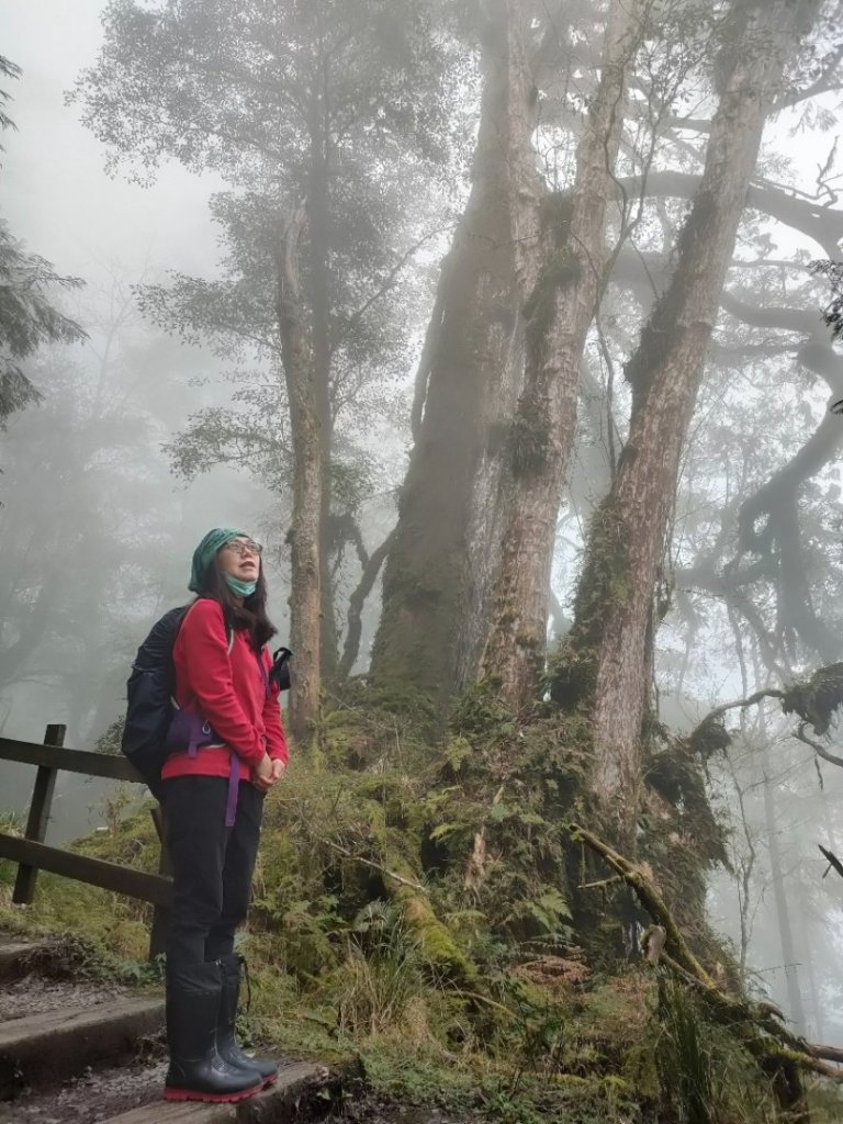 20220226 明池森林遊樂園，棲蘭神木園_1618923