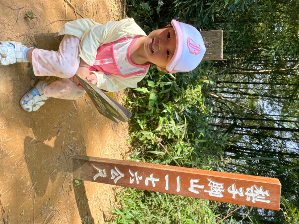 嘉義梅山-梨子腳山-小百岳057_1905622