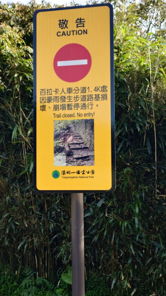 20260125 陽明山前後山健行(無極天元宮~山仔頂步道.向天池.向天山.面天山.二子坪)_2998065