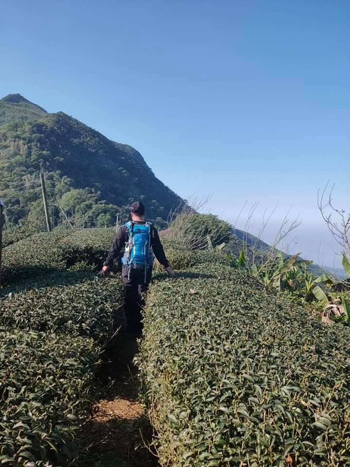 挑筍古道(大尖山、後棟仔山步道)_1262774