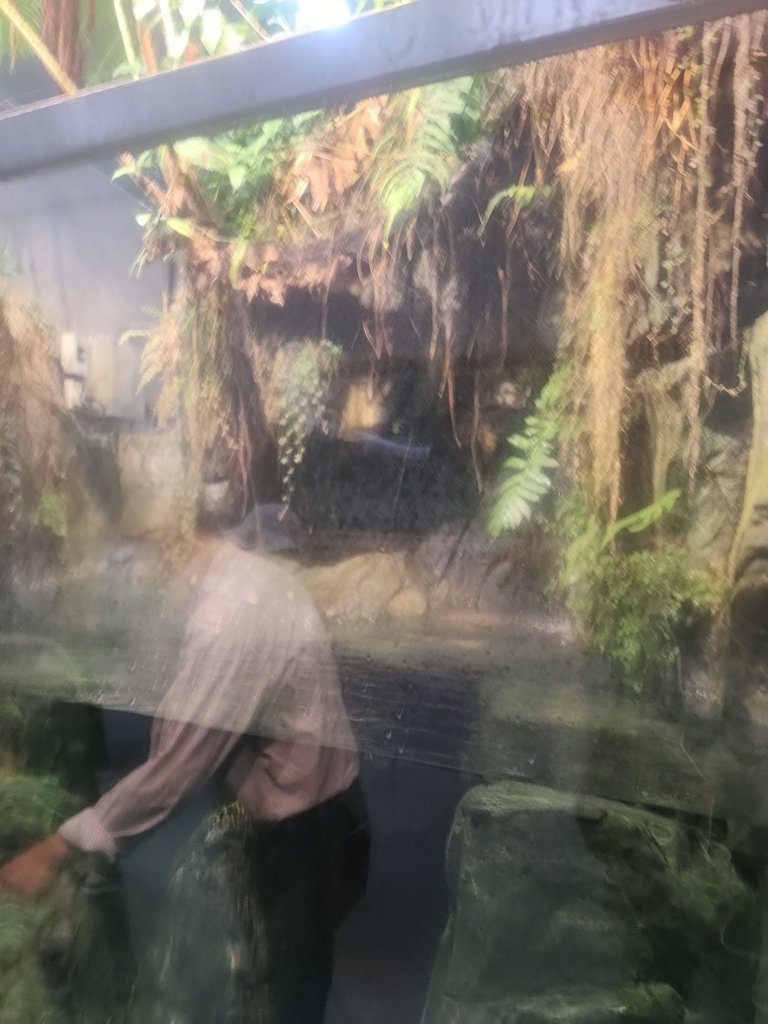 台北動物園_2663984