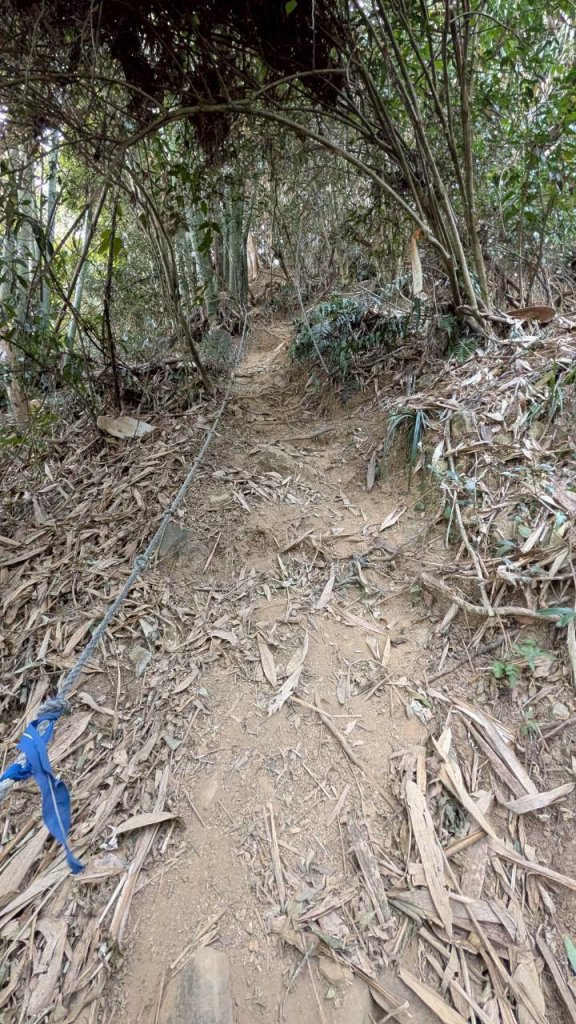 大橫屏山步道_2977350