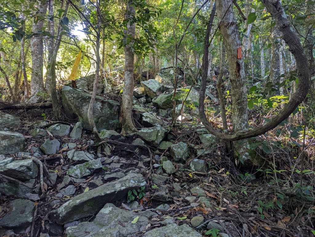 谷關七雄：八仙山_1744074