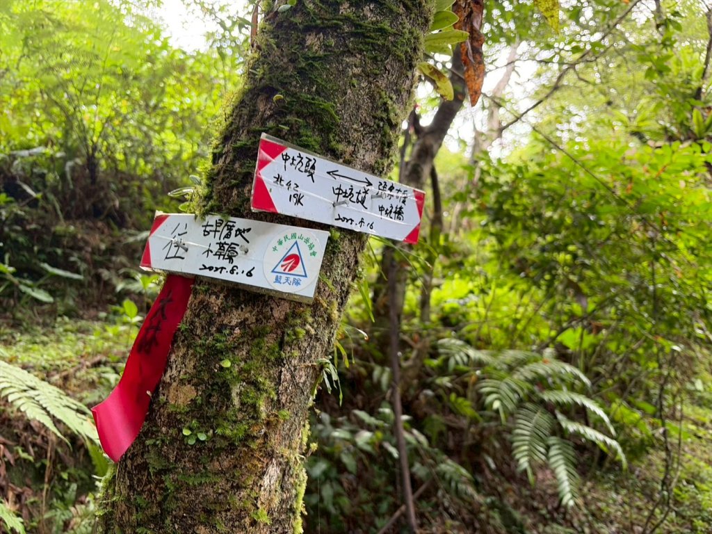 虎豹雙棲越野17K複習跑-part2_3072595
