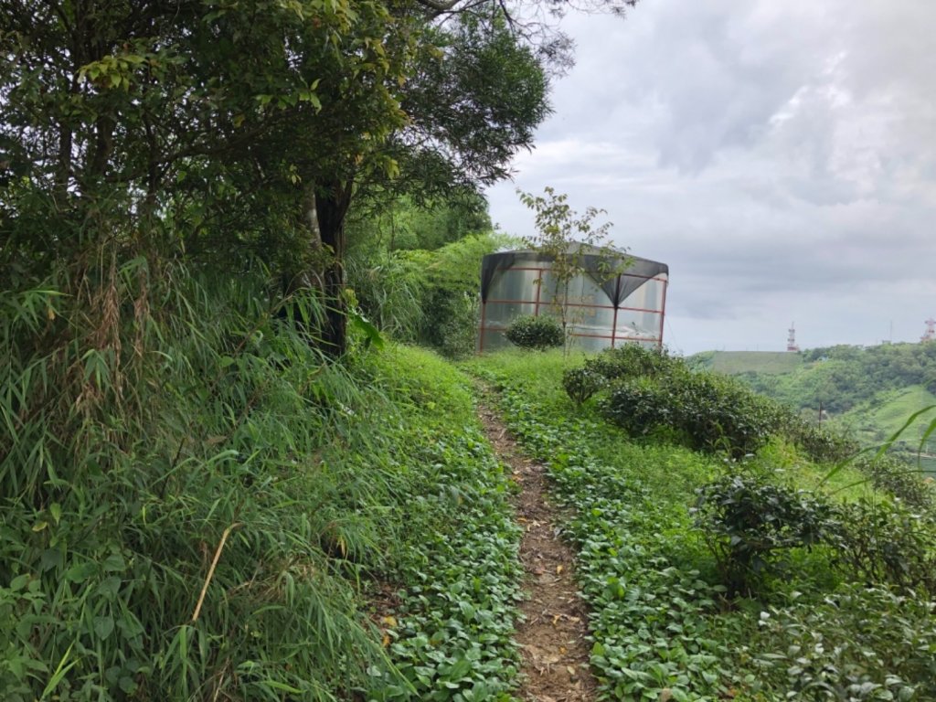 嘉義連峰獨立山大巃頂紅楠坑觀音石阿拔泉_633221