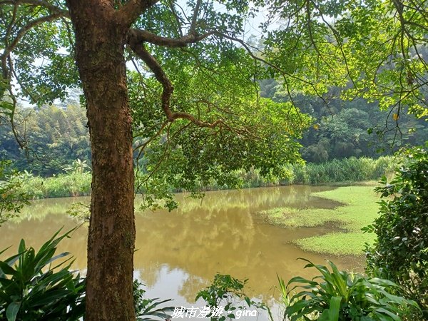 【苗栗頭份】平易近人。 山塘背登山步道封面圖