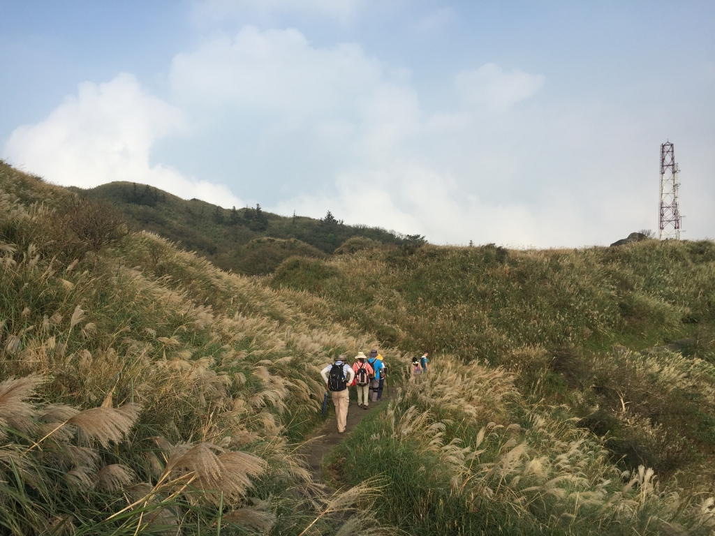 陽明山冷水坑至小油坑_70360