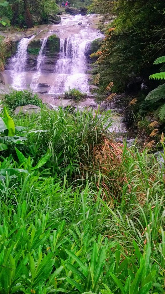 姜子寮山（小百岳）、旗尾崙山O走_917222