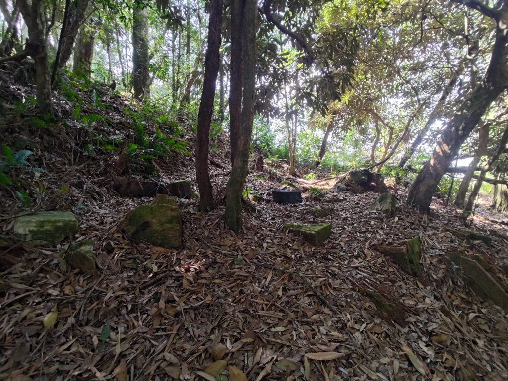 獅子頭山_2440484