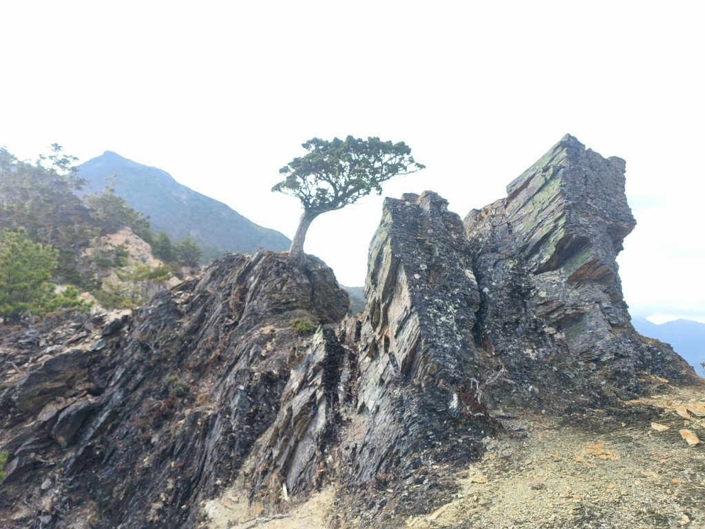 20240320 馬博8天縱走~第五天，馬里亞文路山，馬利加南山_2471239