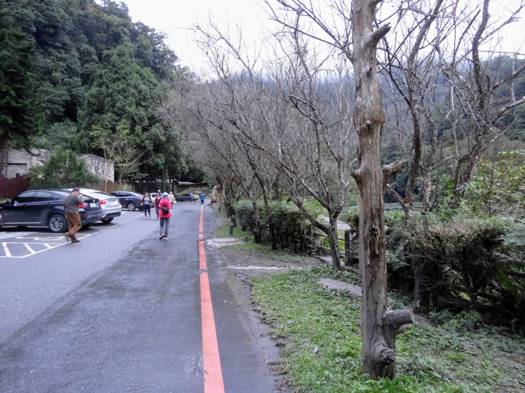 太平山翠峰湖環山步道_1743617
