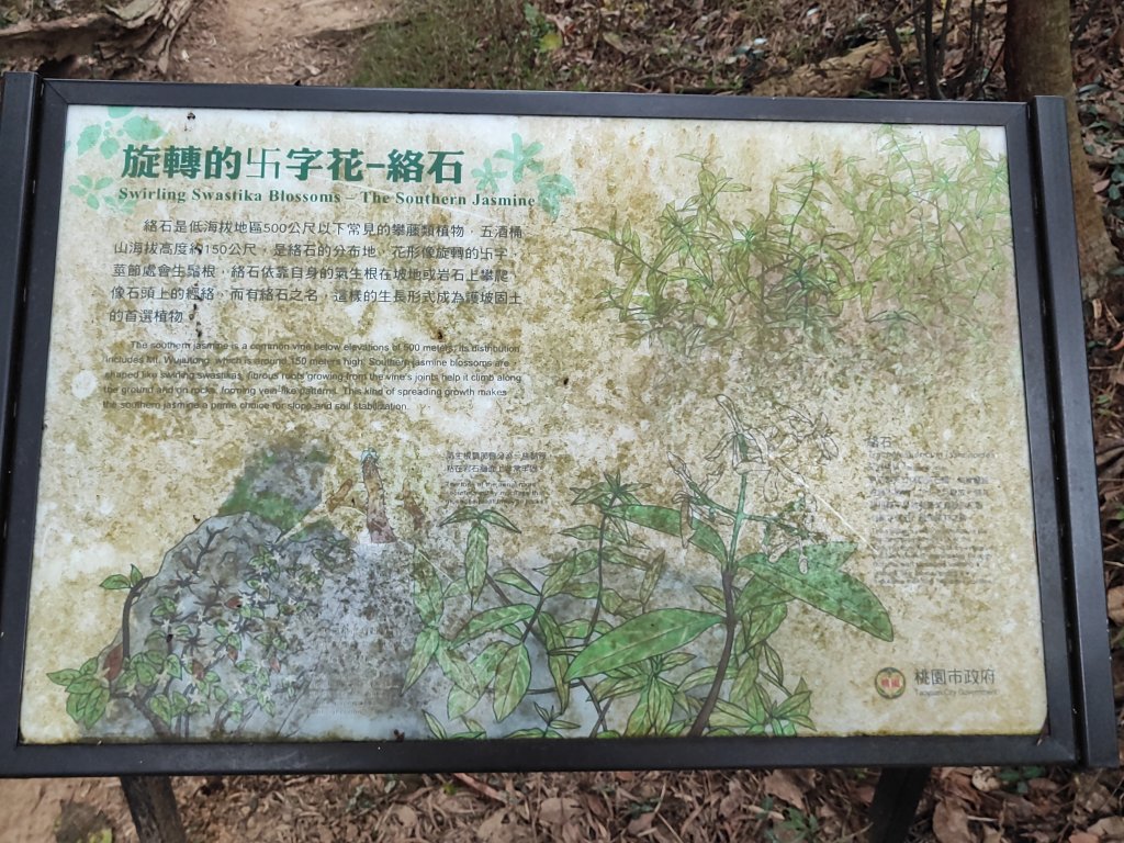 五酒桶山_3003908