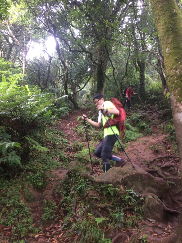 陽明山東西大縱走活動_403570