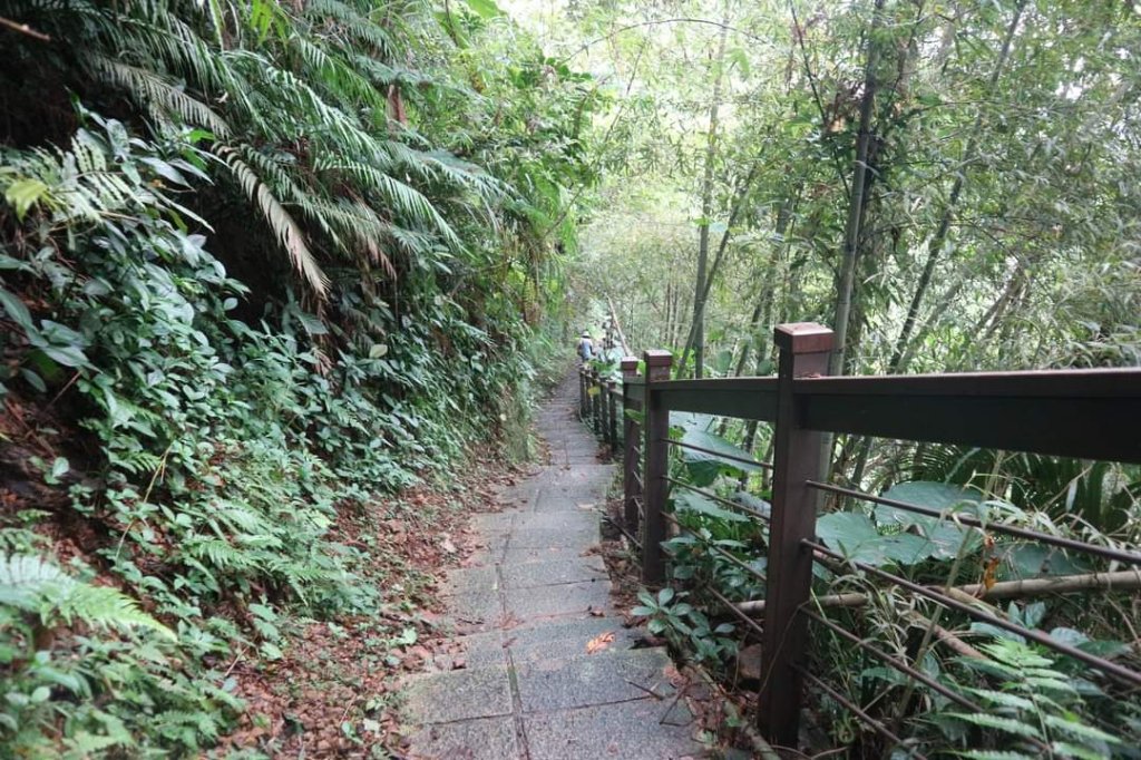 〔嘉義〕太興岩步道 ，太興 龍王金殿_2272355