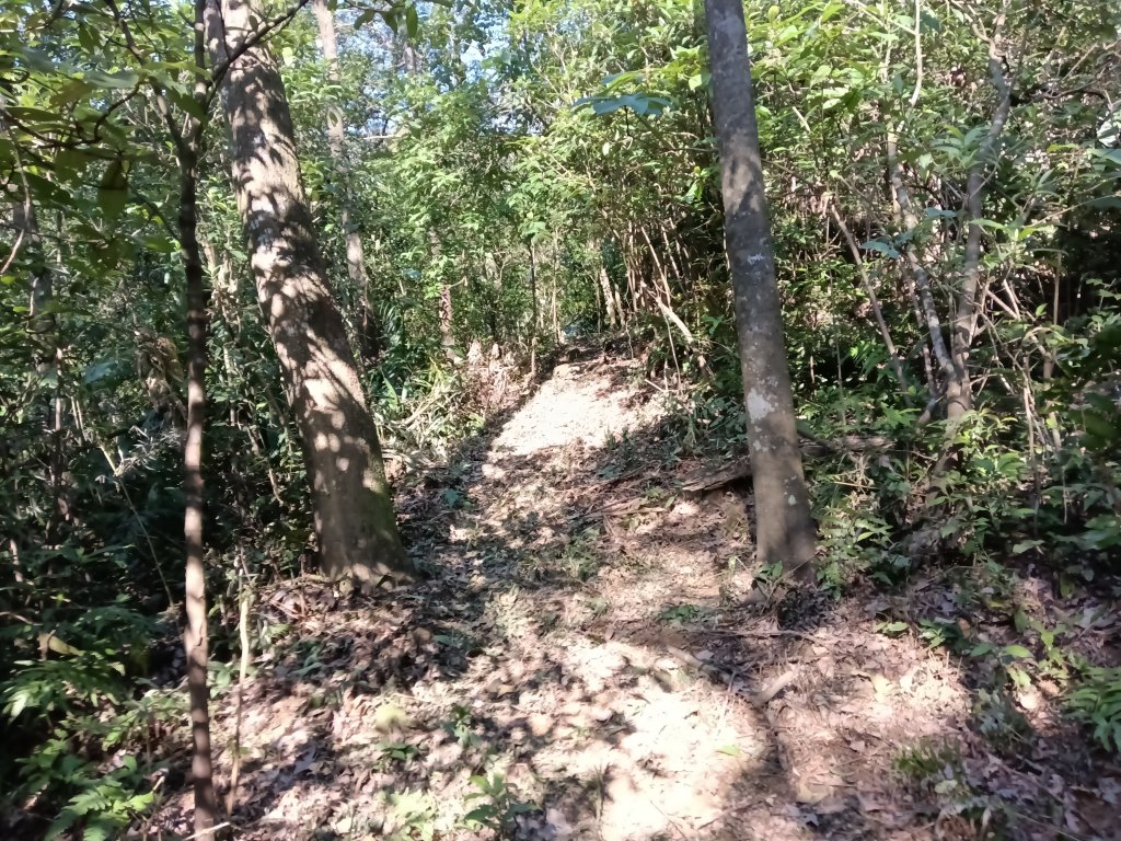 雙溪區大平林山+后番子坑古厝+后番子坑山+武山煤礦事務所+焦炭窯O型_2988530