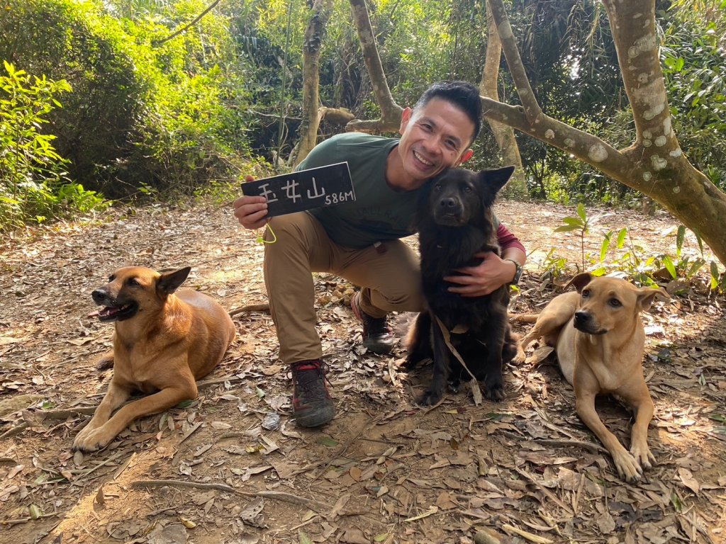 金童山.汶水山.玉女山【冬天的郊山縱走=高山等級的享受】_2680911