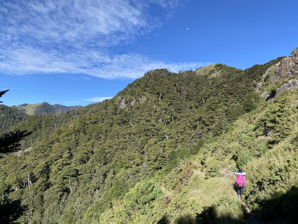 硬邦邦四天「雪山西稜」全記錄！大雪山黃金稜線必訪_1451129