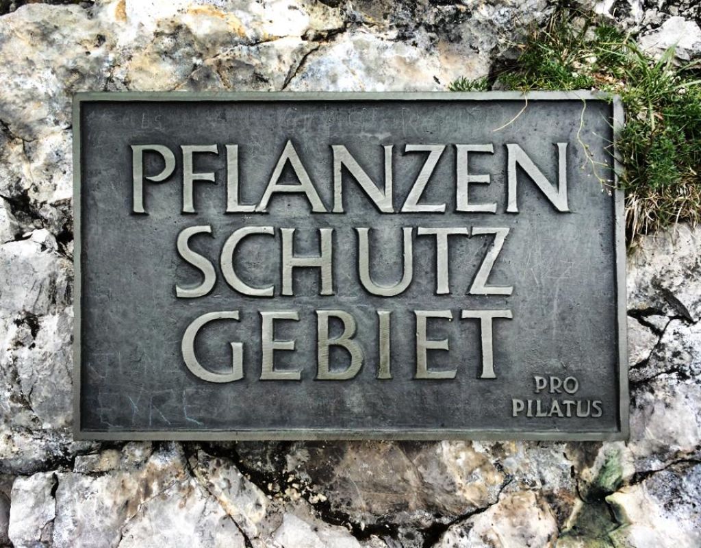 Mt. Pilatus, Lucerne_153975