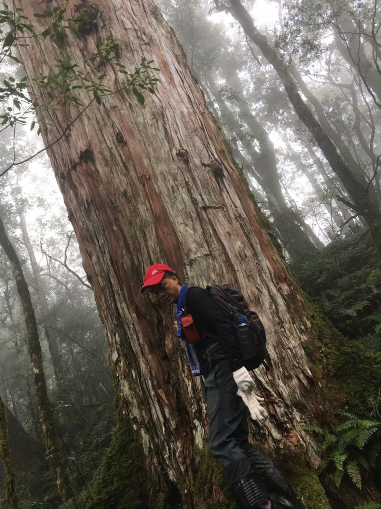 復興尖山之速_446677
