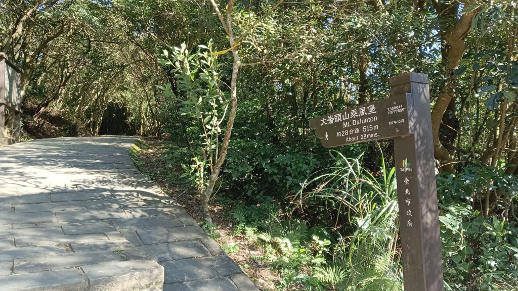 大崙頭尾山下大湖公園_2114356