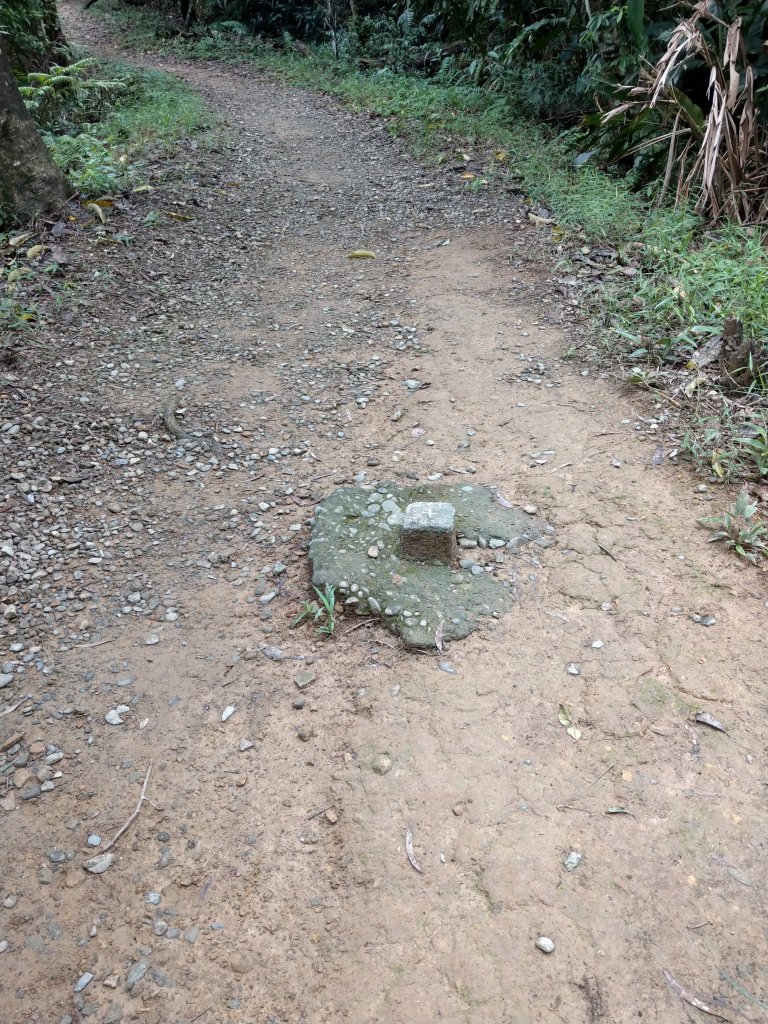 中埔山-福州山-富陽自然公園_685515