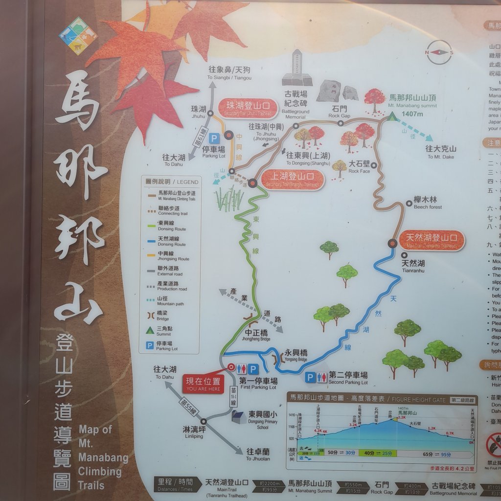 小百岳No.37⛰馬那邦山_2440789