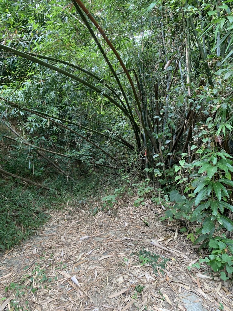 20251024台南邦埤山-三崁山_2925689