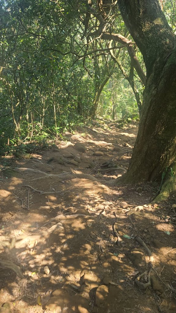 2026-0116 大屯三山_貴子坑_北投_2984814