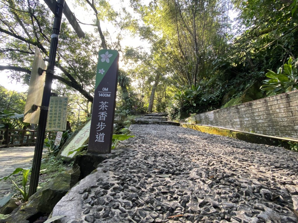 2025微笑山線大縱走尋寶集章任務-Ep.04【天上山系】望月亭桐花段｜石門內尖山東峰 ×石門內尖山_2979067