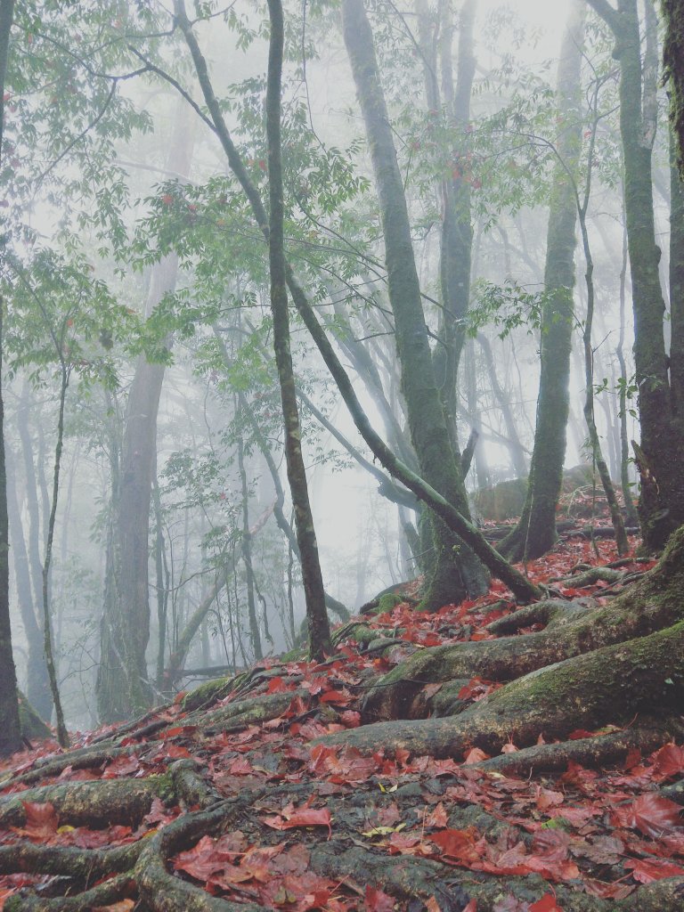 110.01.09稍來29K下切_1280400