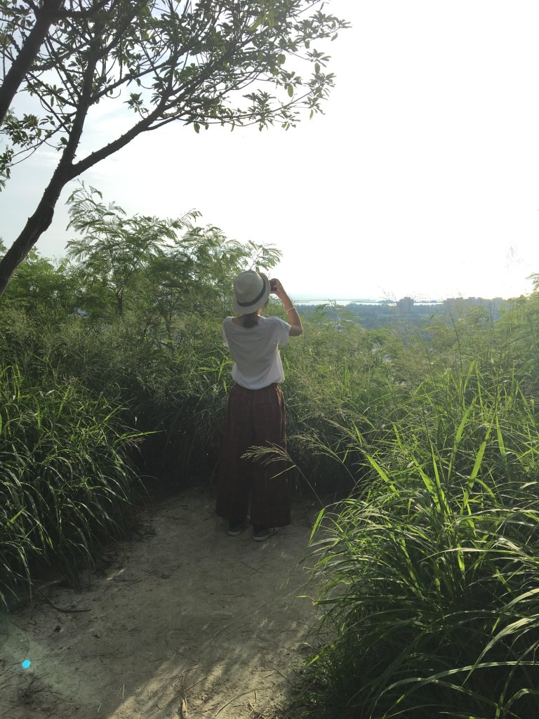 半屏山親子登山趣_664148