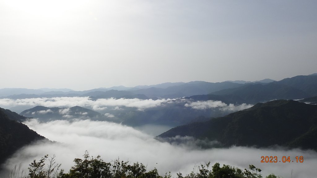 翡翠水庫壩頂(新店四十份)再見日出雲海+賞 #松月櫻 &桐花_2114988