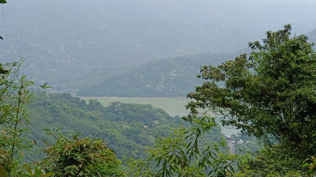 (姨婆趴趴走)第八集:攀登大艽芎古道、頭寮山，桃園五月限定的桐花_2167773