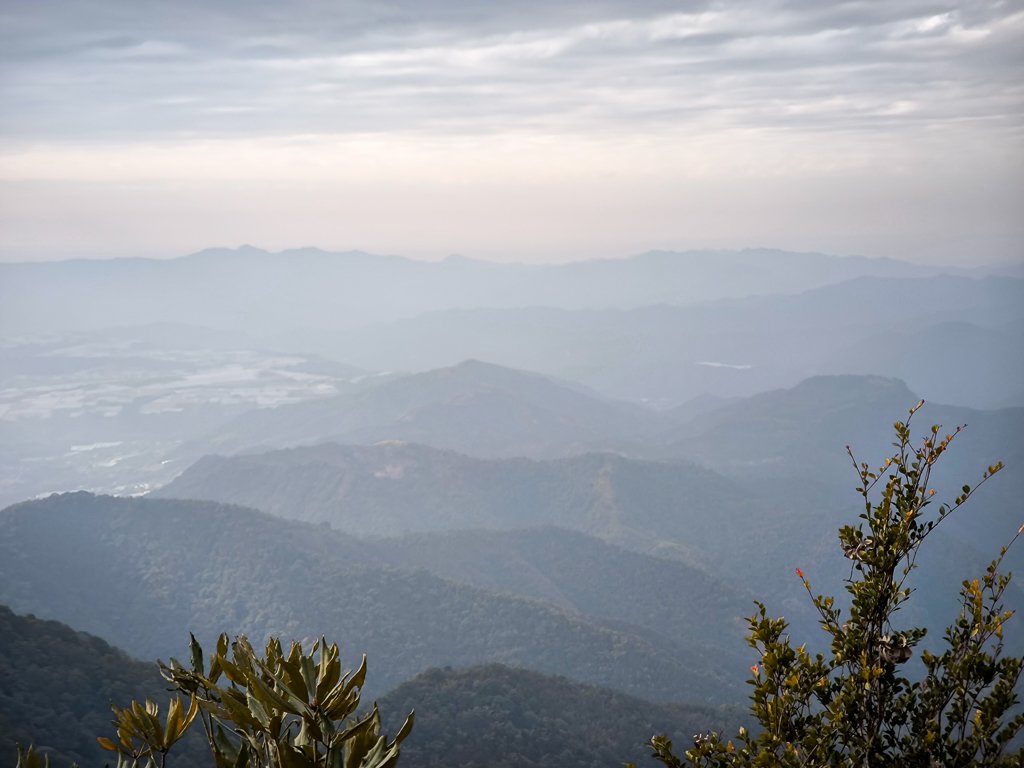 2026-01-18 埔里關刀山_2989620