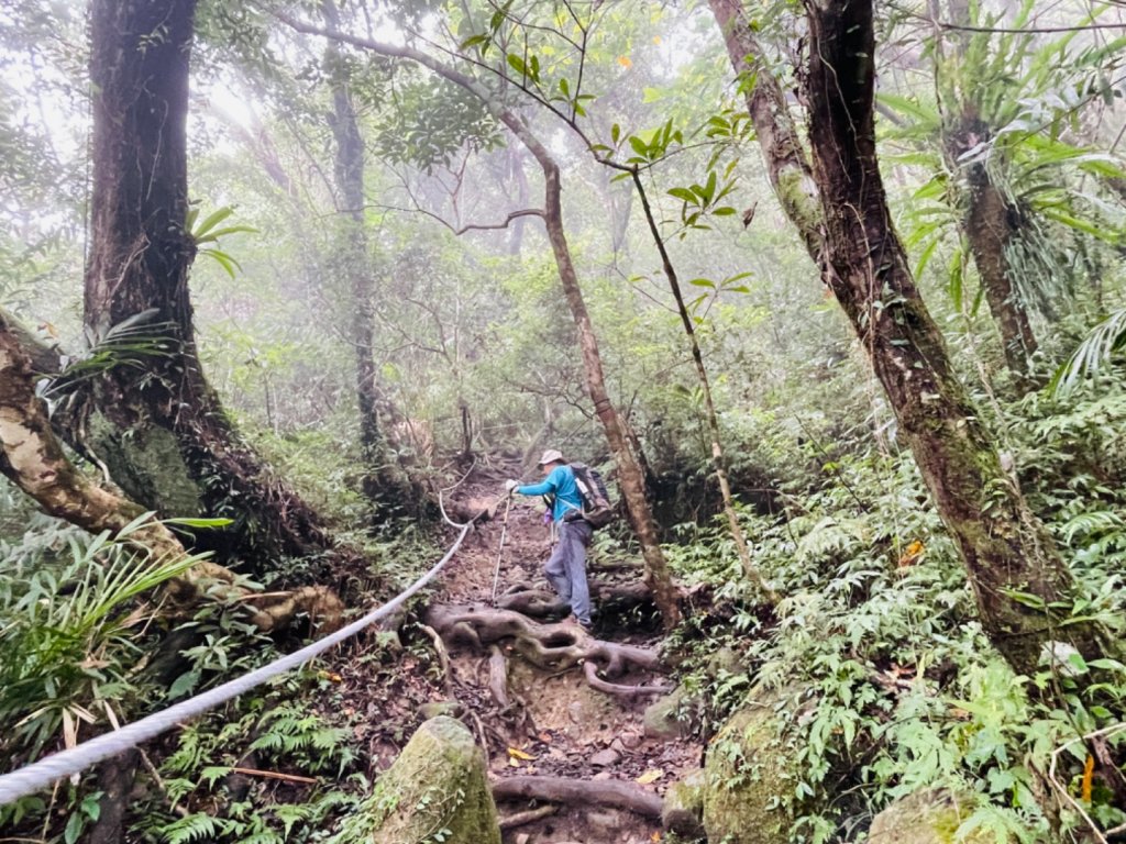 1120812都蘭山_2251665