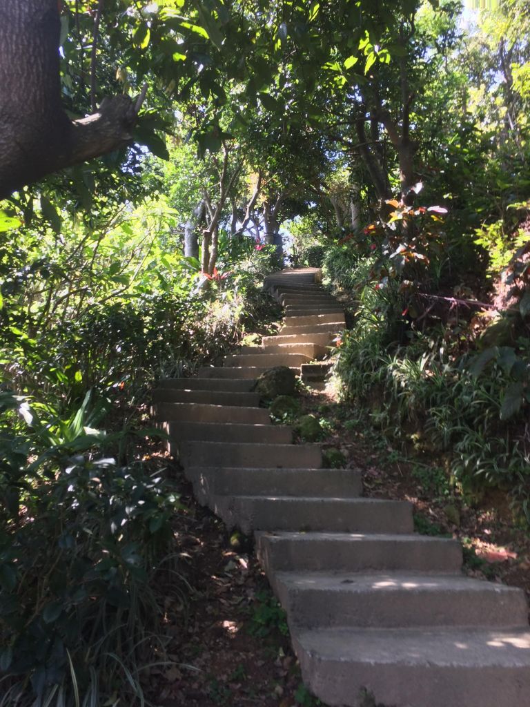 大棟山之縱_302564