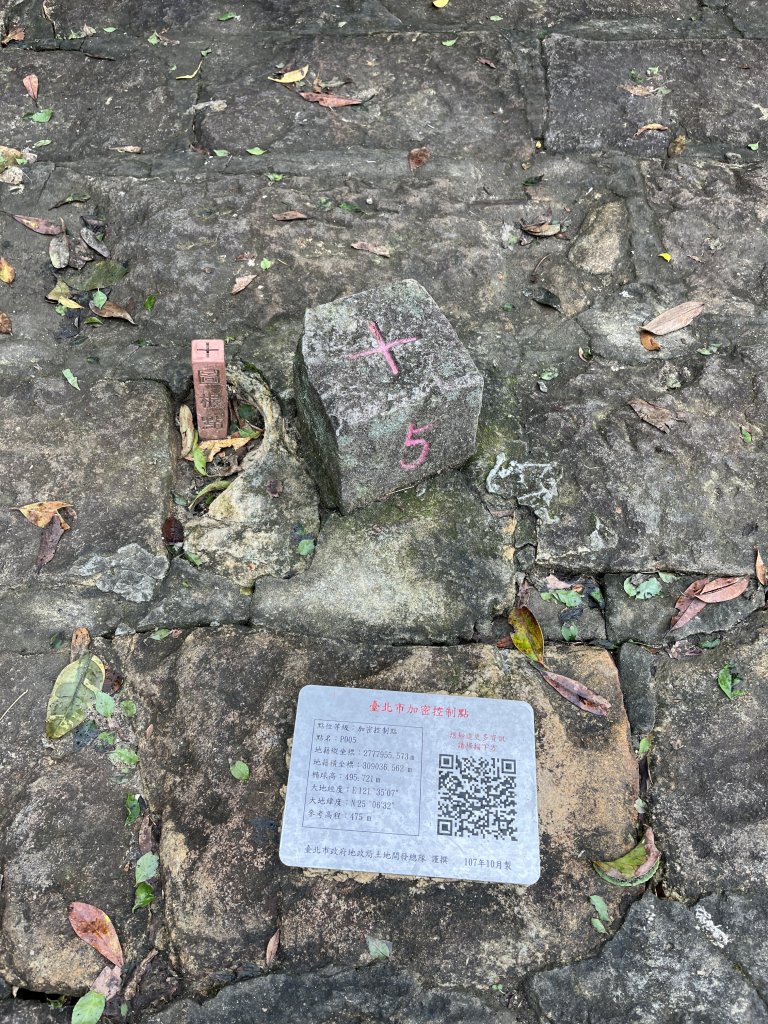 大崙頭尾山封面圖