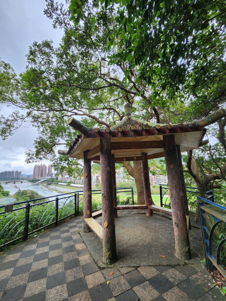 20231203 新店小獅山，待老坑山，員潭子坑山，銀河洞，和美山，碧潭_2366894