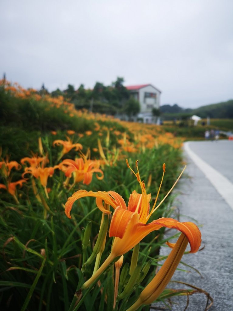 赤科山忘憂之旅封面圖