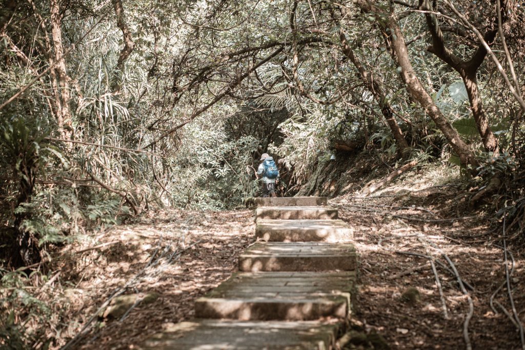 菅芒浪白｜五分山_2356492
