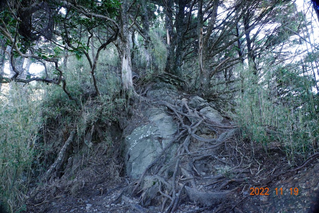 南投 信義 西巒大山_1922384