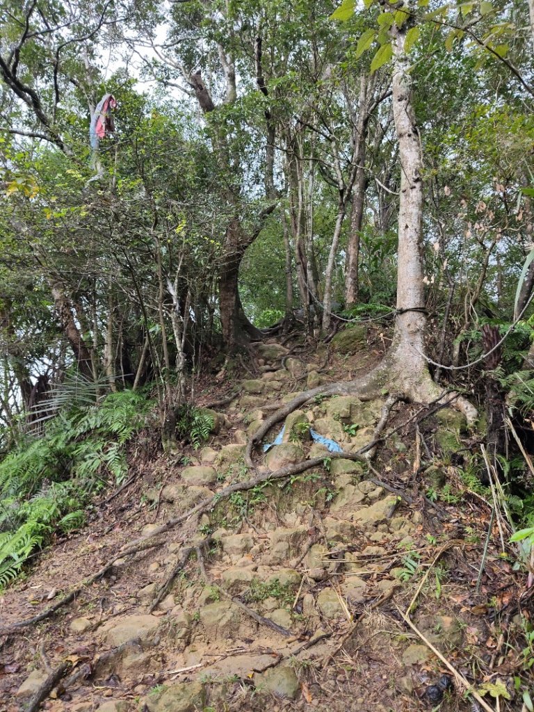 微笑山線：【五分山系】望古瀑布段_2959891