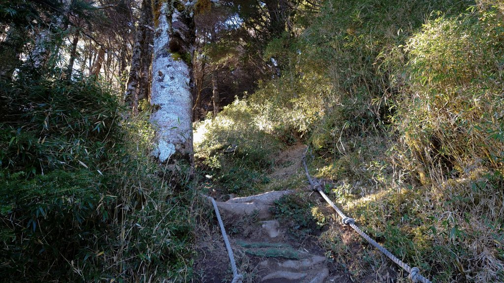 一日南臺首岳 關山(2023.1.13)_1994171