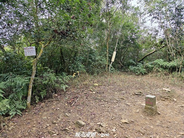 【屏東來義】小百岳棚集山x棚集下山O 繞_3013090